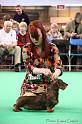 Crufts2011_2 1194